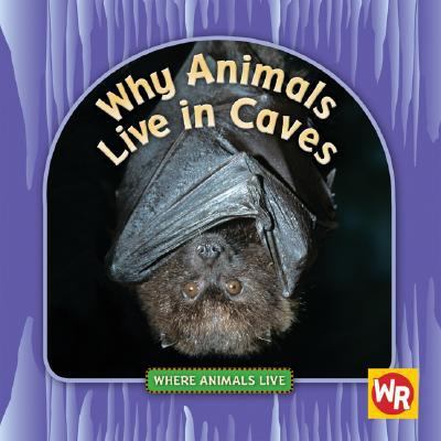 Why animals live in caves