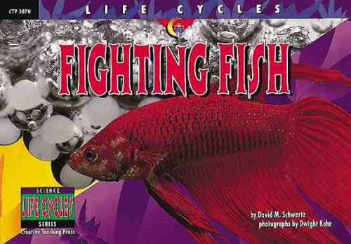 Fighting fish