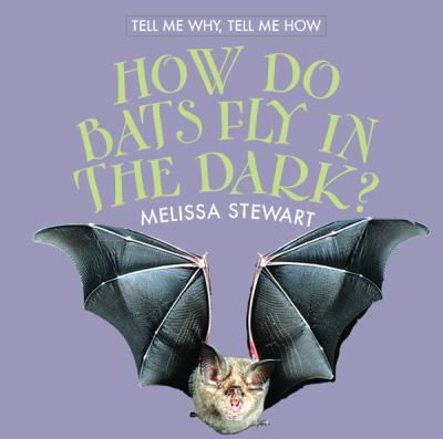 How do bats fly in the dark?