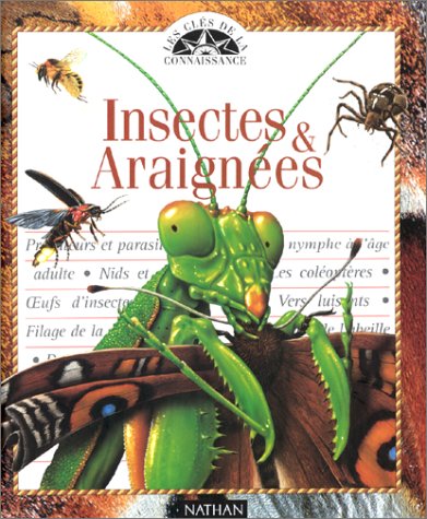 Les insectes et les araignées