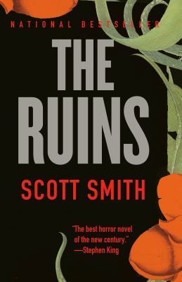 The ruins : a novel