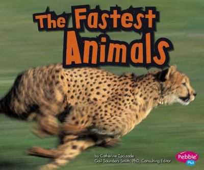 The fastest animals