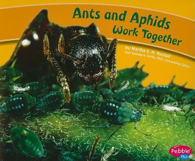 Ants and aphids work together