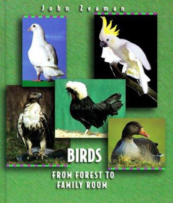 Birds : from forest to family room