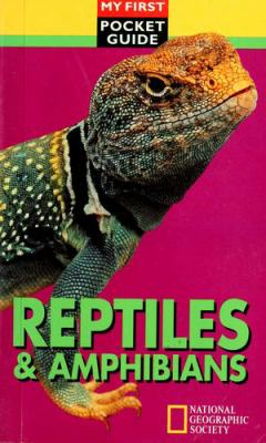 Reptiles and amphibians