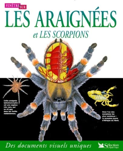 Les araignées et les scorpions