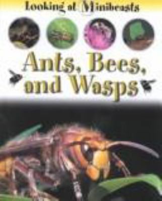 Ants, bees, and wasps