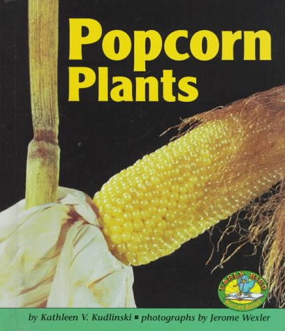 Popcorn plants