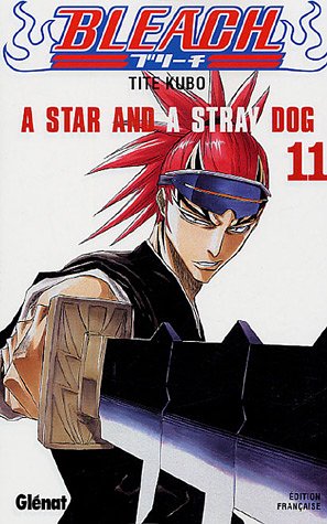 Bleach. Vol. 11, A star and a stray dog /