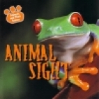 Animal sight