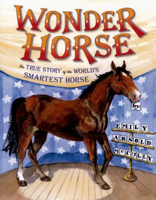 Wonder horse