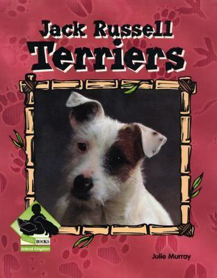 Jack Russell terriers