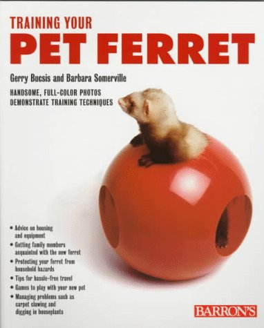 Training your pet ferret