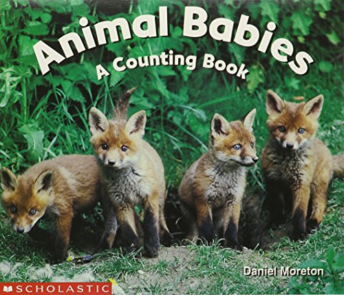 Animal babies : a counting book