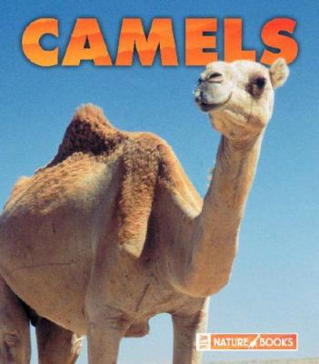 Camels