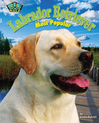Labrador retriever : most popular