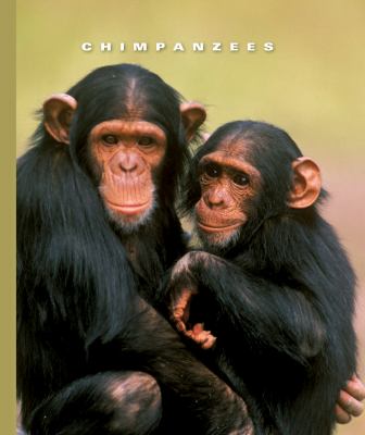 Chimpanzees