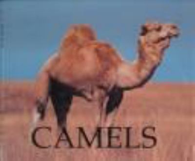 Camels