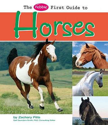 The Pebble first guide to horses