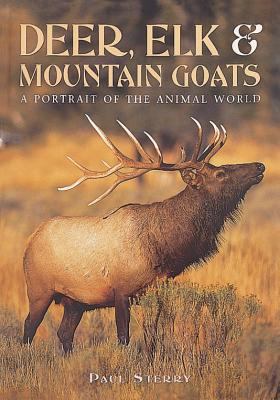 Deer, elk & mountain goats : a portrait of the animal world