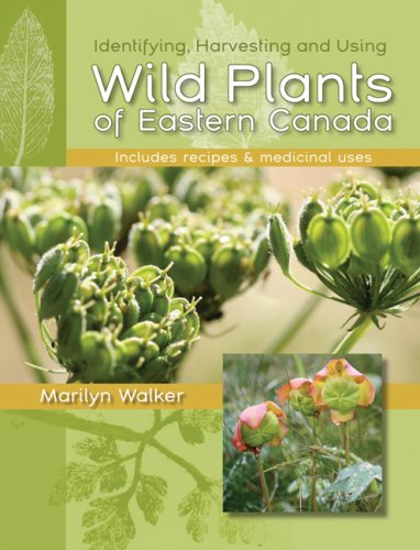 Wild plants of Eastern Canada : identifying, harvesting and using : includes recipes & medicinal uses