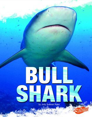 Bull shark