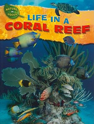 Life in a coral reef