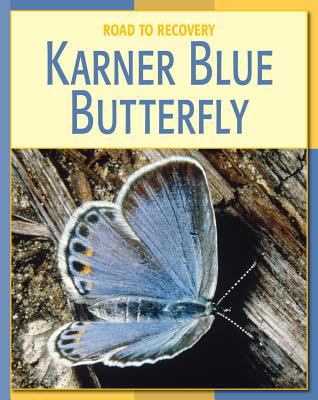 Karner blue butterfly