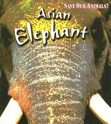 Asian elephant