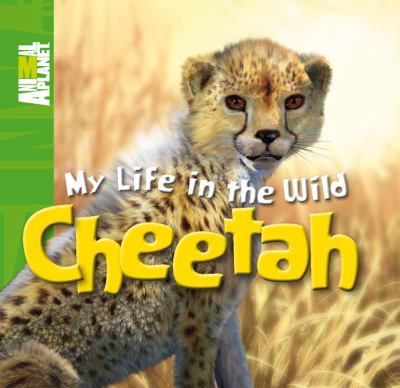 My life in the wild. Cheetah /