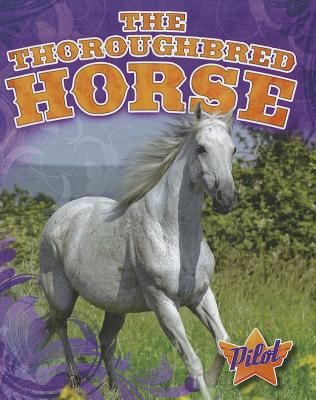 The thoroughbred horse