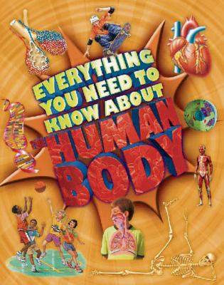 Everything you need to know about the human body