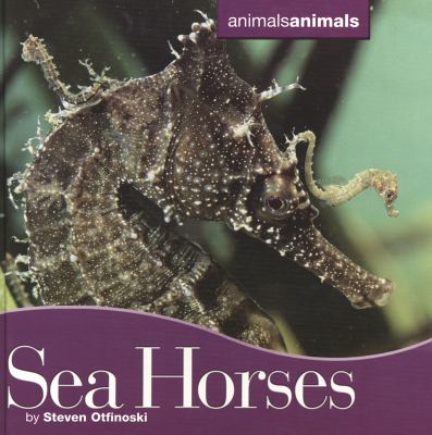 Seahorses