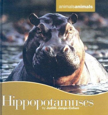 Hippopotamuses