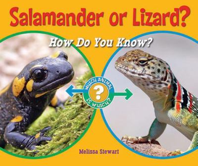 Salamander or lizard : how do you know?