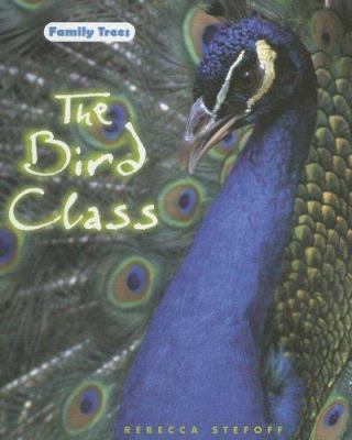 The bird class