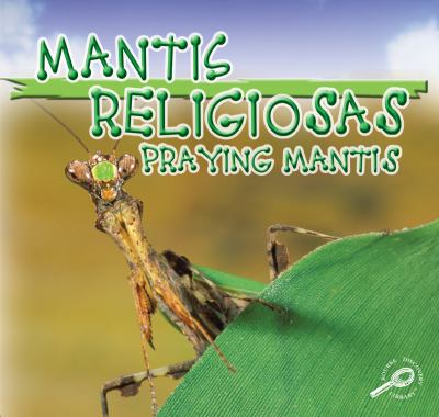 Praying mantises = Mantis religiosas