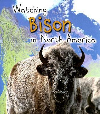Watching bison in North America