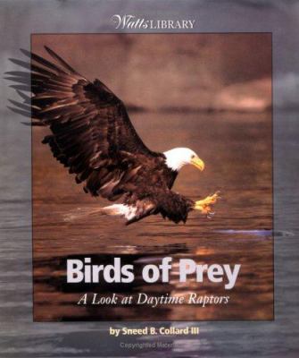 Birds of prey : a look at daytime raptors