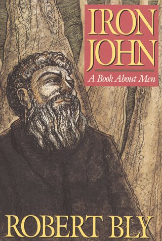 Iron John : a book about men