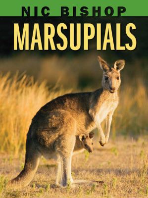 Marsupials.