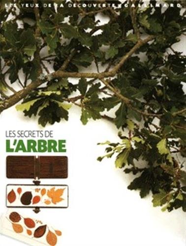 Les secrets de l'arbre