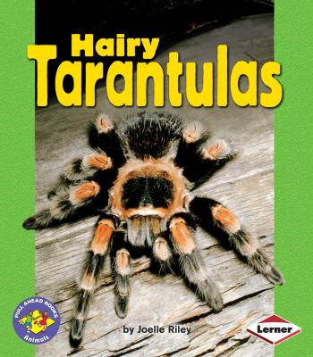 Hairy tarantulas