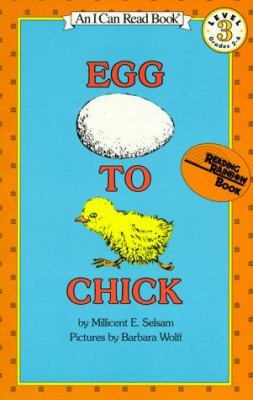 Egg to chick