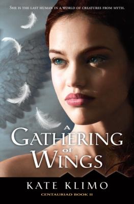 A gathering of wings