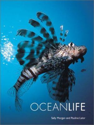 Oceanlife