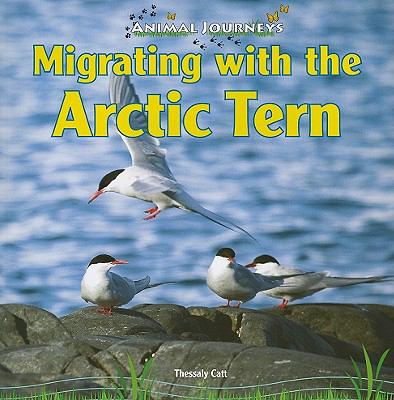 Migrating with the Arctic tern