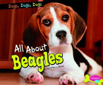 All about beagles