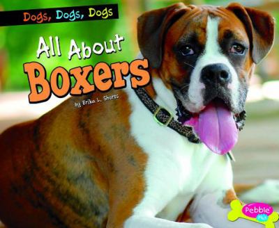 All about boxers