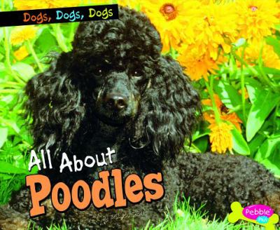 All about poodles